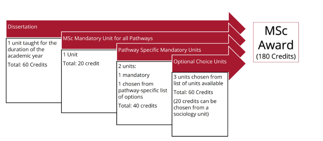 This image shows the MSc structure for our programmes that include pathways